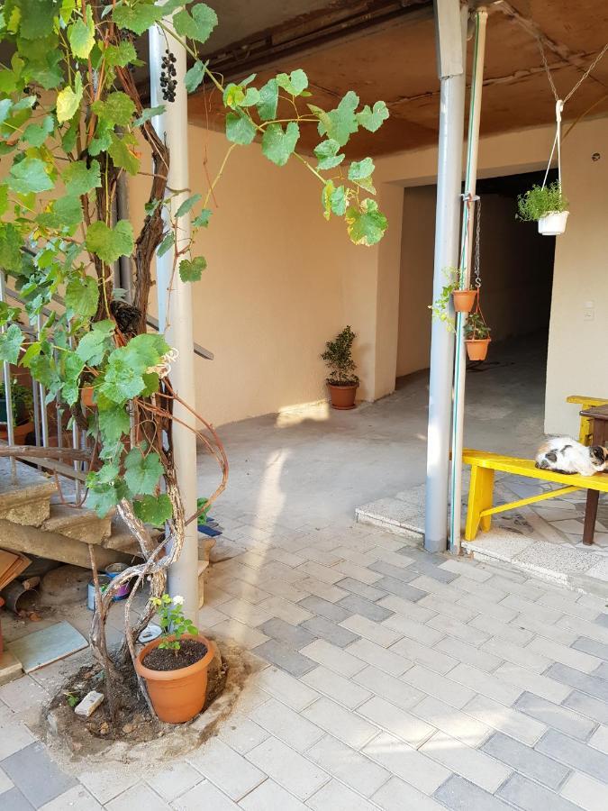 Hotel Домик У Куры Tbilisi Zewnętrze zdjęcie