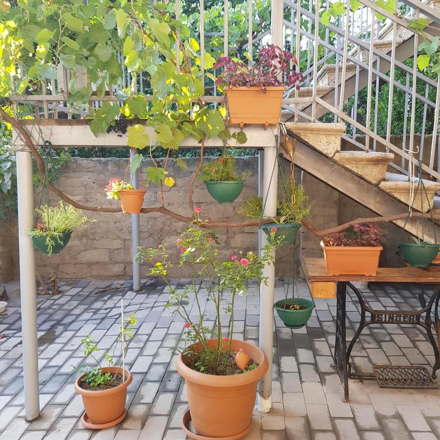 Hotel Домик У Куры Tbilisi Zewnętrze zdjęcie