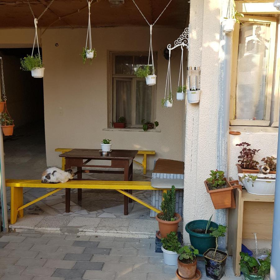 Hotel Домик У Куры Tbilisi Zewnętrze zdjęcie